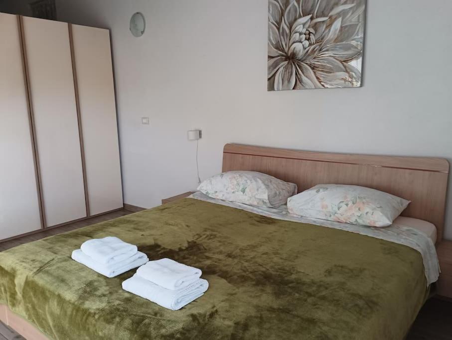 Apartment, 200M From Sea Brtonigla Εξωτερικό φωτογραφία