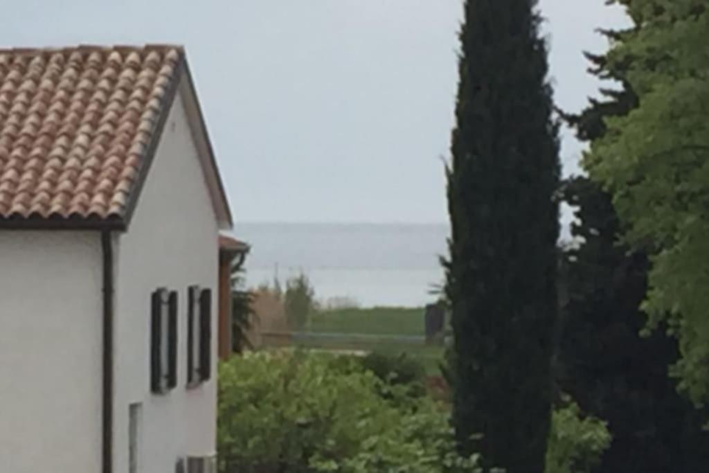 Apartment, 200M From Sea Brtonigla Εξωτερικό φωτογραφία
